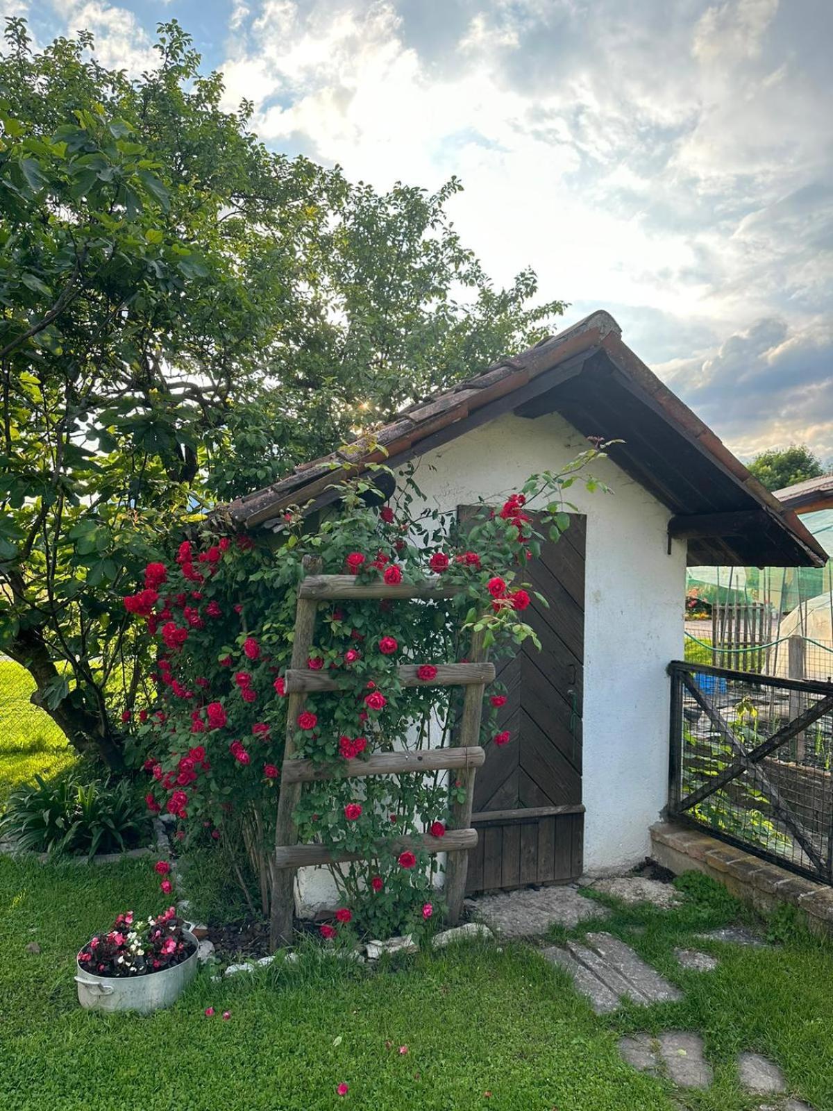 Casa Giovannella Feltre Luaran gambar